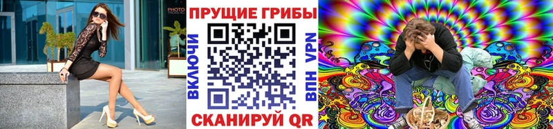 Псилоцибиновые грибы прущие грибы  Мещовск 